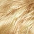 Choose Colour: 14 Golden Blonde