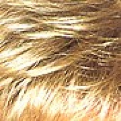 Wigs and Pieces