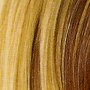 Wigs and Pieces