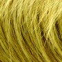Wigs and Pieces