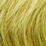 Wigs and Pieces