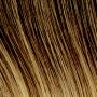 Click to view this Rene of Paris Wig colour