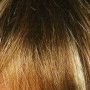 Almond Spice
