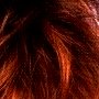 Wigs and Pieces