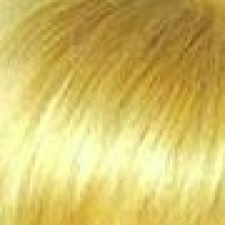 Wigs and Pieces