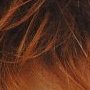 Wigs and Pieces