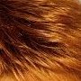 Wigs and Pieces