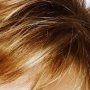 Rene of Paris Wig colour