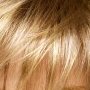 Rene of Paris Wig colour