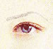 Delilah Brow