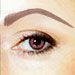 Asia Brow