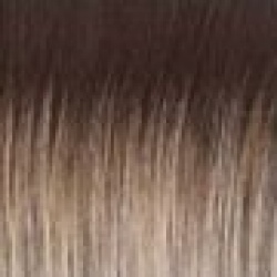 Raquel Welch Wigs