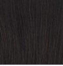 Raquel Welch WIgs
