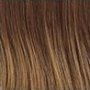 Raquel Welch Wigs