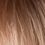 Rene of Paris Wigs