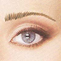 Dk Athena Brow
