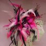 Pink Black Fascinator F103