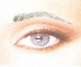 Dark Chloe 265732Brow