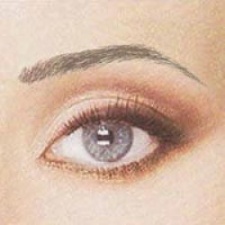 Dk Aaliyah Brow