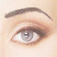 Vanity Brow