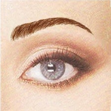 Nicole Eyebrow
