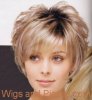 Sandie Wig
