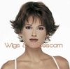 Fantasy Wig