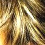 Sunny Blonde