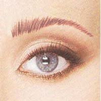 Trinity Brow