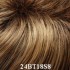 Choose Colour: 24BT18S8 Dk Ash Blonde w Golden Blonde Blend with Shaded Roots