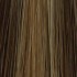 Choose Colour: 6/14 Medium Brown & Honey Highlights