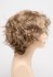 Choose Colour: Dark Blonde