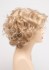 Choose Colour: Medium Blonde