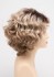 Choose Colour: Sparkling Champagne Rooted