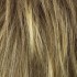 Choose Colour: Light Chocolate Candy Blonde