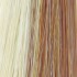 Choose Colour: Mimosa HL with dark roots