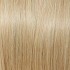 Choose Colour: Palest Blonde R10HH