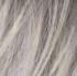 Choose Colour: Silver Blonde Rooted