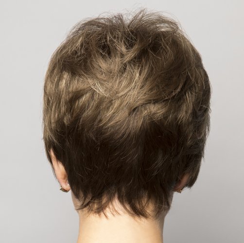 Eva Wig by Noriko from Rene of Paris Wigs Wigs & Pieces