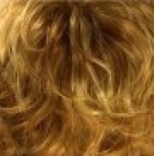 Click to view this Rene of Paris Wig colour