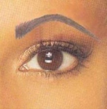 Asia Eye Brow